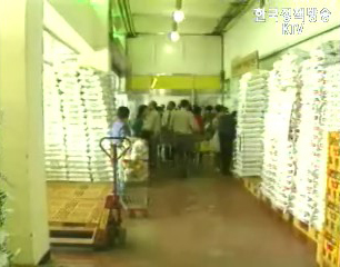 웰빙, 다이어트 영향..쌀 소비 계속 줄어