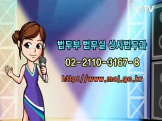 행정 형벌의 합리화 방안