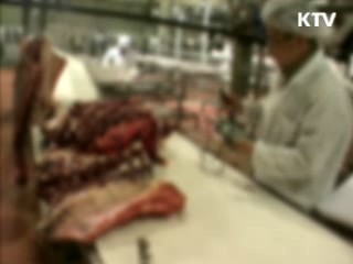 난립 도축장 구조조정 추진