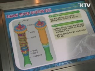 국제과학비즈니스벨트, 세계적 수준으로 육성