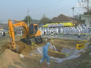 정부, 구제역 방역조치 강화