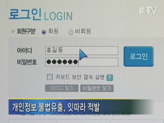 개인정보 불법유출 정부합동대책 마련