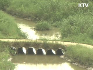 "2012년 4대강 수질 2급수 비율 86%"