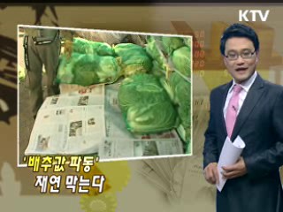 '배추값 파동' 재연 막는다
