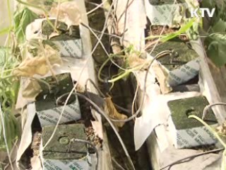 폭설지역, 특별교부세 50억원 긴급 지원