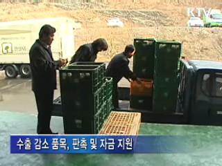 "농식품 일본 수출, 대지진 영향 미미"