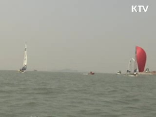 부산바다에서 '요트 대향연' 펼쳐진다