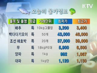 알뜰장보기 물가정보