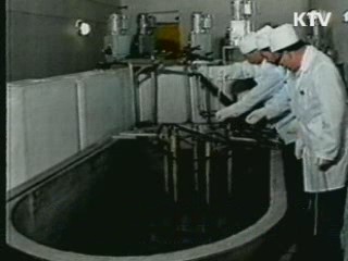 "北 비핵화 진전되면 경수로 논의 가능"