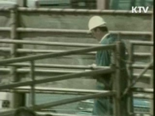 미국서 4번째 광우병 감염 소 확인