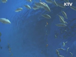 여수엑스포, 누워서 즐기는 '한국관' 인기