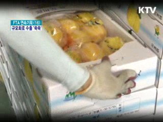 원예전문생산단지, 농식품 수출 新원동력