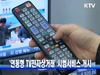 '연동형 TV전자상거래' 시범서비스 개시