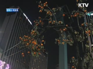 '72시간 내 의자를 설치하라' [캠퍼스 리포트]