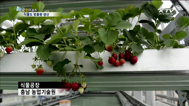 '첨단 식물공장' 등장…식물도 맞춤형 생산