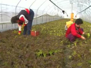 박 농림 `농촌형특별소득대책 마련`