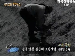 경북 안동 뒷산의 조림산업('68)