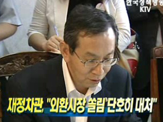 재정차관, 외환시장 쏠림 단호히 대처 