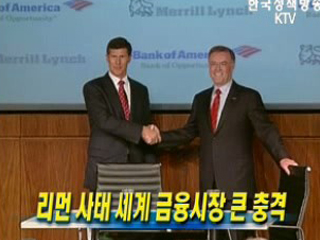 리먼 사태 금융시장 큰 충격