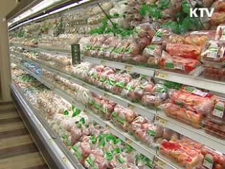 하반기 농식품 수출시장 개척 총력