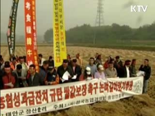 쌀 직불금 기준 강화로 신청 대폭 감소