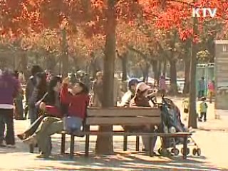 본격적인 단풍철, 안전사고 '주의'
