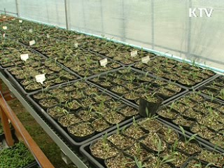 4대강 유역 고유생물종 철저히 보호