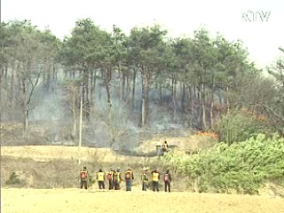 올 봄 산불 피해, 50년만에 가장 적어