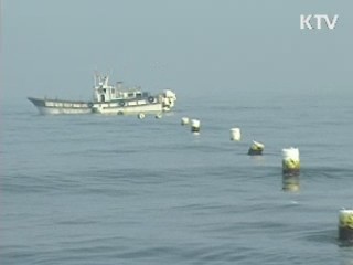 울산 앞바다서 어선 침몰…11명 사망·실종