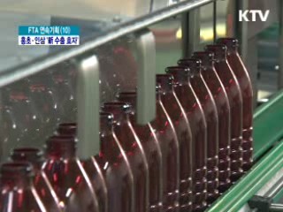 홍초·인삼 새 수출 효자 품목 등극