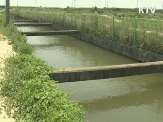 양파·마늘 비축물량 '탄력공급'