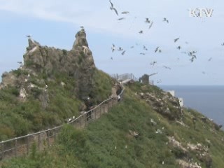 日, '독도' 제소···정부 "일고의 가치도 없어"