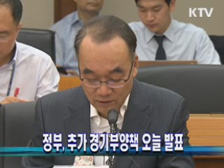 정부, 추가 경기부양책 오늘 발표