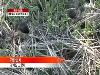 장항습지 람사르 등재 운동 전개 [국민리포트]