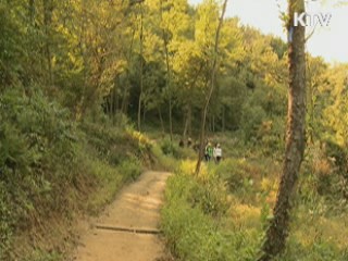 전국 도보여행길 체계적 관리