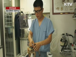 반려동물 등록제 '유명무실' [국민리포트]