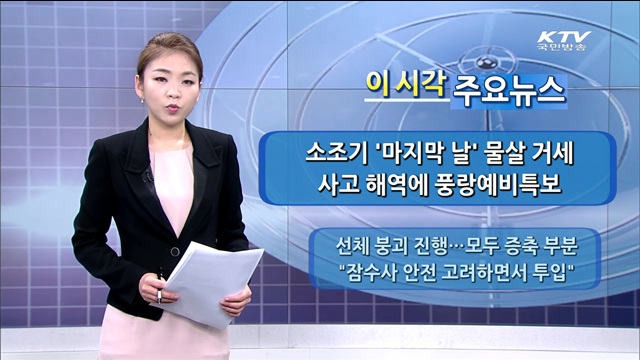 이 시각 주요뉴스 (1234회)