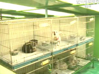 동물보호 수준높다