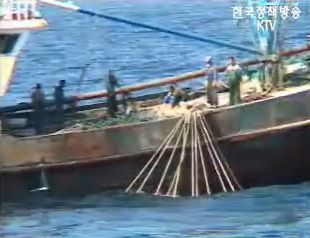 불법어업 합동 일제 단속