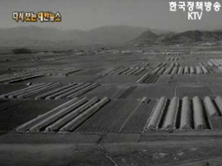 쉬지 않는 농촌('70)