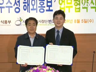 한식, 민·관 손잡고 세계에 홍보