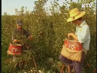 한·칠레 FTA 6년, 교역 3배로 확대