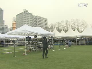 오늘의 정책(전체)