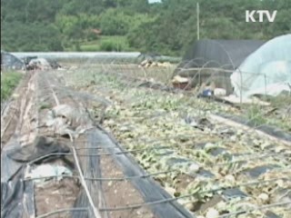 사과·배 등 재해보험금 776억원 지급