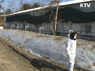 "매몰지 침출수, 지하수 오염 안돼"