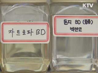 바이오디젤시대 열린다