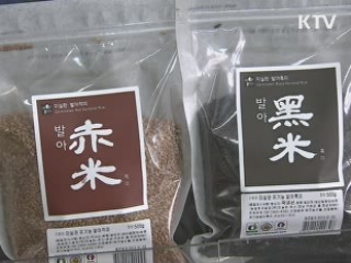 발아현미 품종 보급 '품질·소득 쑥쑥'