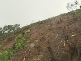 14호 태풍 '덴빈' 5명 사상…이재민 119명