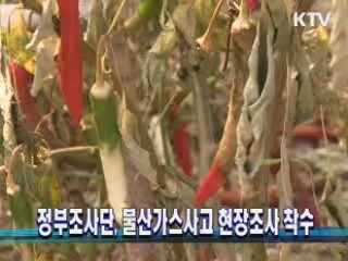 정부조사단, 불산가스사고 현장조사 착수