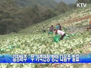 김장배추·무 가격안정 방안 다음주 발표